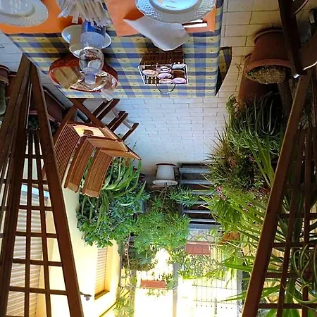 Il Mandorlo Bed & Breakfast