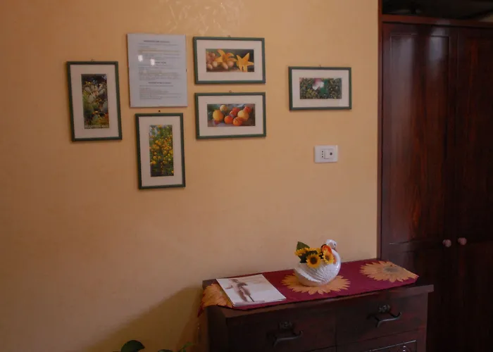 Bed & Breakfast Il Mandorlo